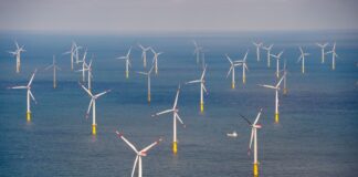 Laut den Richtern fehlt es an Erkenntnissen dazu, ob der Windpark den Lebensraum der Seetaucher beeinträchtigt. (Archivbild)
