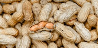 Rückruf: Dosen-Erdnüsse können Milch enthalten Milchallergiker aufgepasst: Ültje warnt vor einer bestimmten Sorte. Sie könnten Milch enthalten, obwohl diese nicht als Zutat angegeben ist. (Symbolbild)