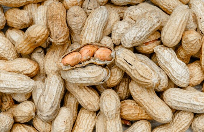 Erdnüsse Milchallergiker aufgepasst: Ültje warnt vor einer bestimmten Sorte. Sie könnten Milch enthalten, obwohl diese nicht als Zutat angegeben ist. (Symbolbild)