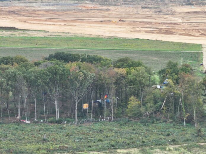 Die Polizei räumt das sogenannte Sündenwäldchen im Rheinischen Revier. (Archivbild)