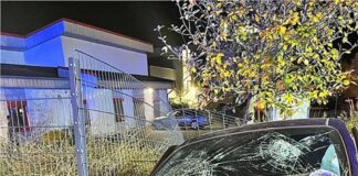 Ein Fahrer verliert am Steuer die Kontrolle, das Auto prallt gegen einen Ampelmast: Zwei Menschen werden schwer verletzt.