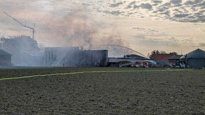 Das Feuer brach gegen Mittag aus.