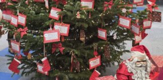 Heiligenhaus: Noch viele Wunschkärtchen am Wunschbaum Die Aktion in der Kreissparkasse endet am Montag, den 15. Dezember. Die verpackten Geschenke können bis spätestens 16. Dezember in der Löwen-Apotheke am Rathaus abgegeben werden. Foto: Frauen-Union