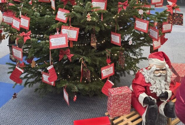 20251204_Wunschbaum Die Aktion in der Kreissparkasse endet am Montag, den 15. Dezember. Die verpackten Geschenke können bis spätestens 16. Dezember in der Löwen-Apotheke am Rathaus abgegeben werden. Foto: Frauen-Union