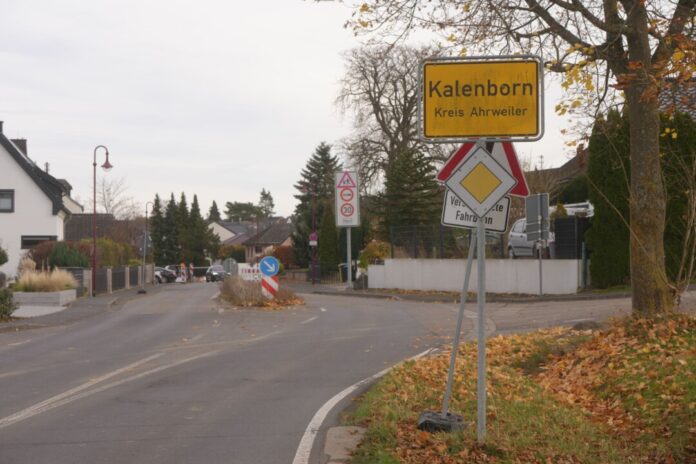 Gemeinde: Keine Großkatze in Kalenborn Die erste Sichtung hatte für Aufregung gesorgt. (Archivbild)