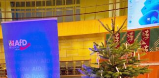 AfD streitet mit Landtag um Weihnachtsbaum Der umstrittene Weihnachtsbaum im Plenarsaal des Landtags