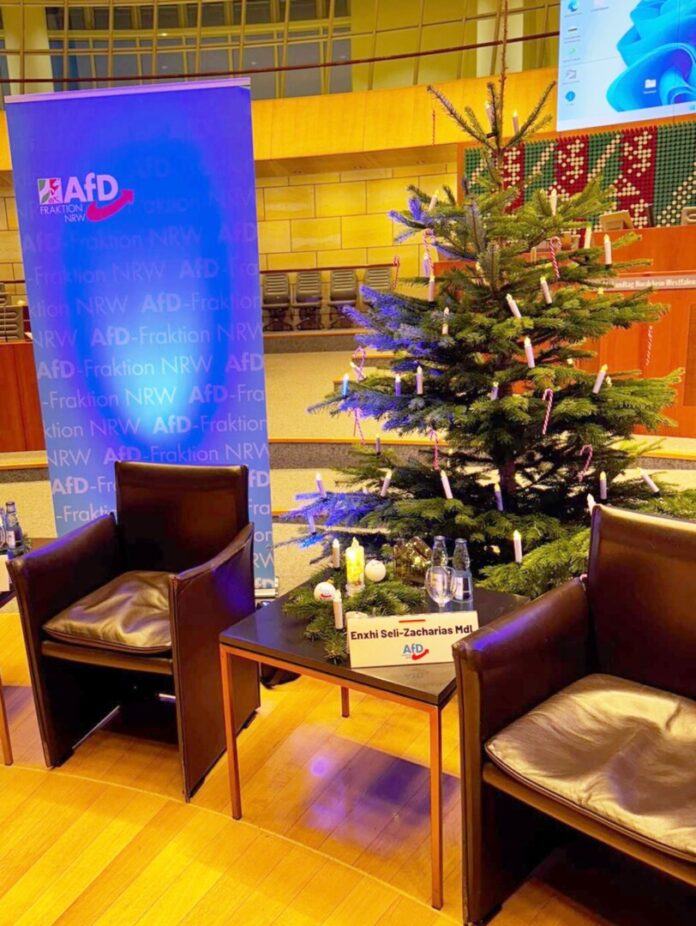 AfD streitet mit Landtag über Weihnachtsbaum Der umstrittene Weihnachtsbaum im Plenarsaal des Landtags