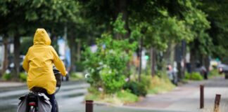 Mild und bewölkt: NRW startet wechselhaft in die Woche In NRW fällt in den kommenden Tagen immer wieder Regen. (Symbolbild)