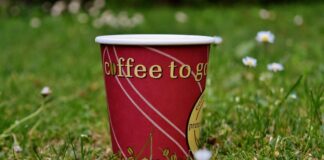 Verbände kritisieren geplante kommunale Verpackungssteuer Ein Pappbecher steht auf einer Wiese. Foto: pixabay