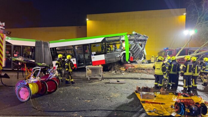 Busunfall in Gelsenkirchen Warum der Linienbus von der Straße abkam, war zunächst unklar.
