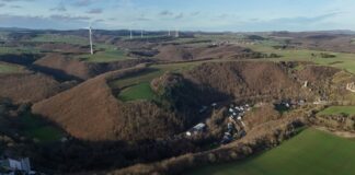 Die Leiche wurde in einem Waldstück bei Monreal entdeckt. (Archivbild)