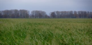 Dichte Wolken und nasser Start in das Wochenende erwartet In den nächsten Tagen ist immer wieder Regen möglich. In der Nacht wird es bei Temperaturen knapp unter 0 Grad auch mal glatt. (Archivbild)