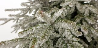 Schneeflocken an Heiligabend in NRW möglich Zumindest ein paar Schneeflocken könnten an Heiligabend in Teilen Nordrhein-Westfalens fallen. (Symbolbild)