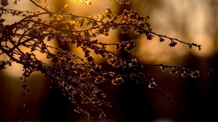 Wetter in Nordrhein-Westfalen An Heiligabend war es in NRW kalt und sonnig.