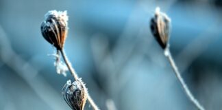 Frostiges Wetter mit Nebel in NRW In Nordrhein-Westfalen bleibt es auch in den kommenden Tagen frostig. (Archivbild)