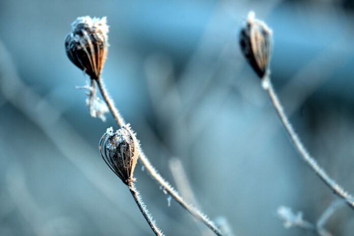 Trockenes Winterwetter in Nordrhein-Westfalen In Nordrhein-Westfalen bleibt es auch in den kommenden Tagen frostig. (Archivbild)