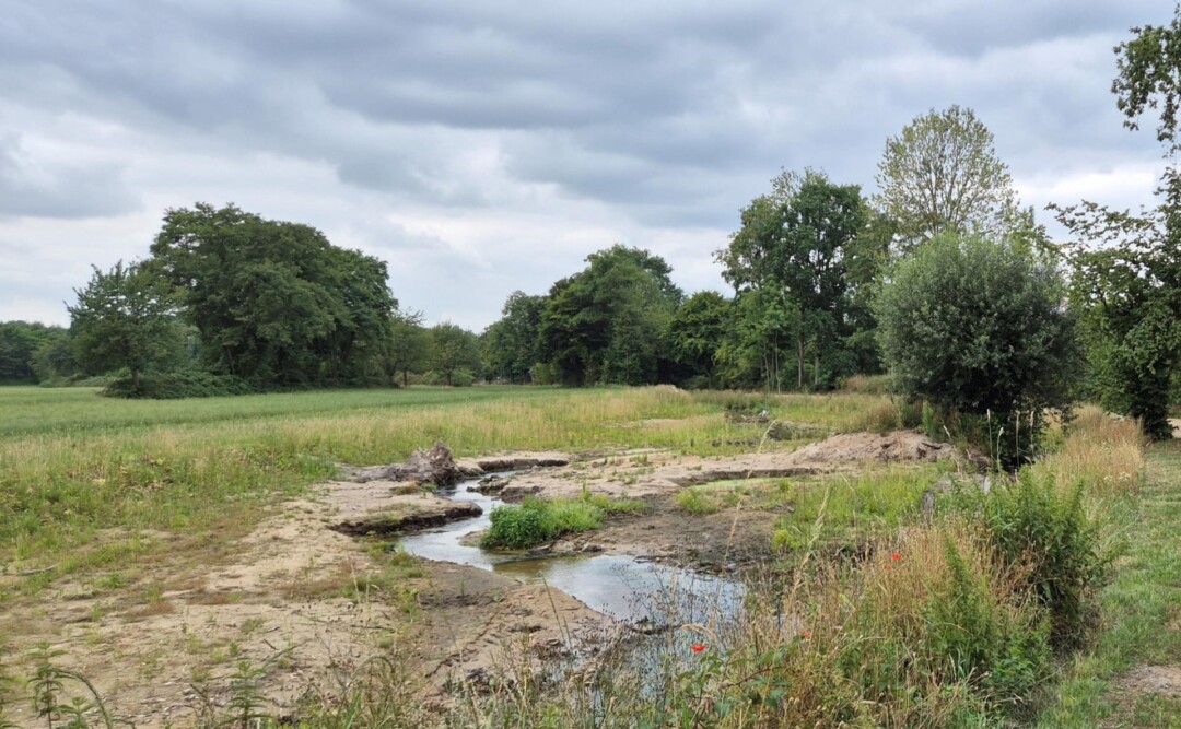 Der Eselsbach vor und nach der ökologischen Umgestaltung. Foto: BRW