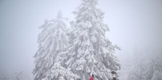 Schneeflocken an Heiligabend in NRW möglich An Heiligabend soll der Himmel anfangs noch stark bewölkt sein, im Tagesverlauf sollen die Wolken dann aber auflockern.