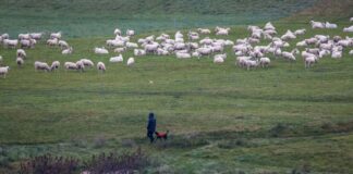 Wetter in NRW mit bis zu 16 Grad ungewöhnlich mild Das Wetter bleibt die nächsten Tage mit bis zu 16 Grad ungewöhnlich mild.