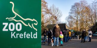Vogelgrippe bei Flamingo im Krefelder Zoo nachgewiesen Teile des Zoos bleiben geschlossen.(Archivbild)