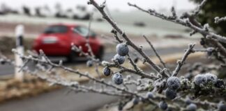 Wetter an Silvester trüb und ungemütlich Die Silvesternacht bringt in den Hochlagen etwas Schnee, im Flachland nur Sprühregen.