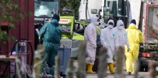 Neuer Verdachtsfall von Geflügelpest am Niederrhein Seit Monaten hat der Niederrhein mit einem Ausbruch von Geflügelpest zu kämpfen. (Archivbild)