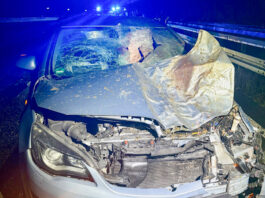 Ruhige Silvesternacht für Ratingens Retter Einer der Silvestereinsätze: Auf der Autobahn kollidierte ein Wagen mit zwei Eseln. Foto: FW Ratingen