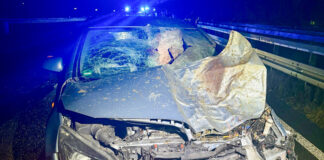 Ruhige Silvesternacht für Ratingens Retter Einer der Silvestereinsätze: Auf der Autobahn kollidierte ein Wagen mit zwei Eseln. Foto: FW Ratingen
