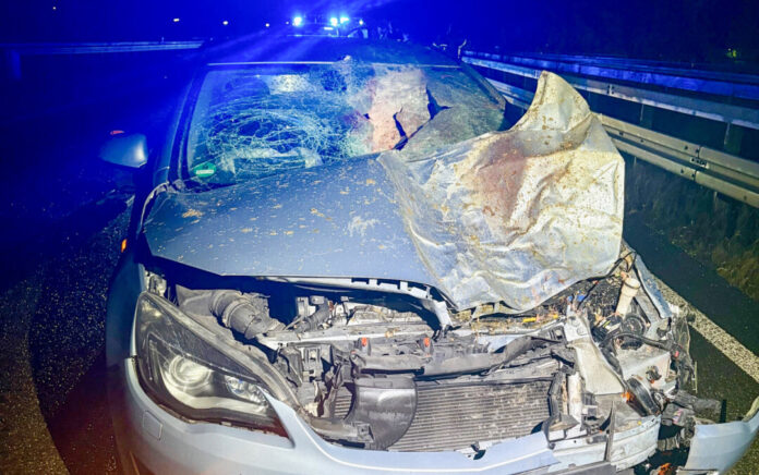 Einer der Silvestereinsätze: Auf der Autobahn kollidierte ein Wagen mit zwei Eseln. Foto: FW Ratingen Einer der Silvestereinsätze: Auf der Autobahn kollidierte ein Wagen mit zwei Eseln. Foto: FW Ratingen