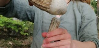 “Flintknapperin” zeigt die Kunst der Feuersteinbearbeitung Elena Moos zeigt im Museum, wie man Feuersteine herstellt. Foto: Neanderthal-Museum