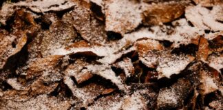 Schnee und Glätte zum Wochenende in NRW In NRW kann am Wochenende Schnee fallen.