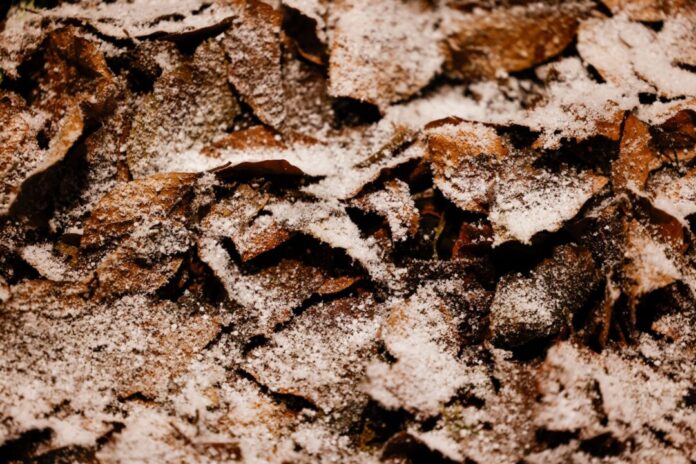 Wetter in NRW In NRW kann am Wochenende Schnee fallen.