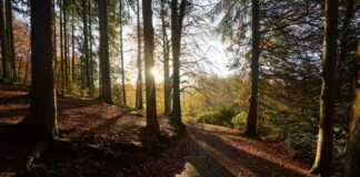 Ranking: Remscheid am besten gegen Klimagefahren gewappnet Die Stadt Remscheid hat mehr als 100.000 Einwohner und liegt im Bergischen Land. Sie ist gut gegen Klimagefahren gewappnet. (Archivbild)