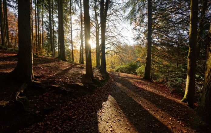 Herbstliches Wetter bei Remscheid Die Stadt Remscheid hat mehr als 100.000 Einwohner und liegt im Bergischen Land. Sie ist gut gegen Klimagefahren gewappnet. (Archivbild)
