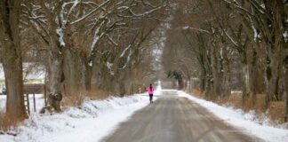 Wetterdienst rechnet mit Glätte in NRW Auf den Straßen in NRW kann es weiter glatt bleiben. (Archivbild)