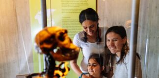 Bilanz: Neanderthal-Museum zählt über 160.000 Besucher Viele Menschen haben im vergangenen Jahr das Museum im Neandertal besucht. Foto: Neanderthal-Museum