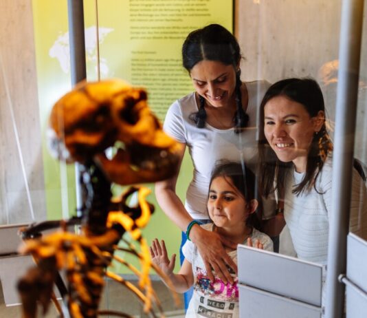 Bilanz: Neanderthal-Museum zählt über 160.000 Besucher Viele Menschen haben im vergangenen Jahr das Museum im Neandertal besucht. Foto: Neanderthal-Museum