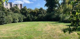 Maximilian-Kolbe-Platz: Bürger-Union will mehr Leben auf die Freiflächen bringen Die Wiese am Maximilian Kolbe Platz, Bild: Bürger Union