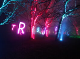 Parkleuchten 2026: Lichtspektakel im Essener Grugapark kehrt zurück Auch im Jahr 2026 findet das Parkleuchten statt. Foto: Volkmann