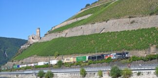 Im Juli sperrt Bahn rechtsrheinische Strecke für Sanierung Die rechtsrheinische Bahnstrecke, die von Juli bis Dezember generalsaniert werden soll, führt an zahlreichen Burgen vorbei. (Archivbild)