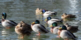 Sonniger Wochenstart in NRW – nachts wird es frostig Die nächsten Tage wird es sonnig und in der Nacht kalt. (Archivbild)