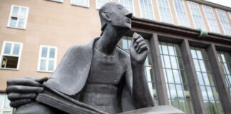 Indigener Schädel an Kölner Uni wieder aufgetaucht Der verschwundene Schädel aus Anatomie der Universität Köln ist wieder aufgetaucht (Symbolbild)