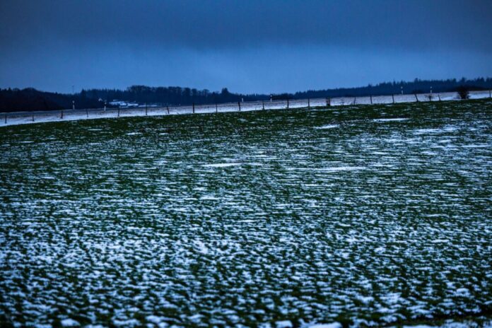 Winterwetter - Sturmtief Elli - Eifel Selbst in der Eifel sind Wiesen nur noch leicht mit Schnee bedeckt.