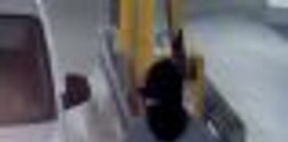 Polizei: Viele Hinweise zu Sparkassen-Coup nach TV-Sendung Die Polizei in Gelsenkirchen hofft auf zahlreiche Hinweise aus der Bevölkerung.