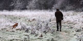 Wind und Schneeregen – NRW startet ungemütlich ins neue Jahr Zu Beginn des neuen Jahres ist es in Nordrhein-Westfalen winterlich. (Archivbild)