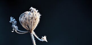 Frostige Nächte mit glatten Straßen in NRW In den nächsten Tagen ist in den Morgenstunden weiterhin mit Glätte zu rechnen. (Archivbild)
