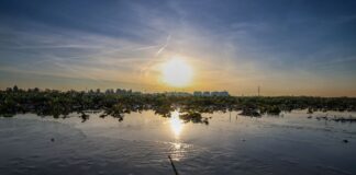Sonnige Tage und kalte Nächte in Nordrhein-Westfalen Die Sonne zeigt sich in den nächsten Tagen vermehrt. (Symbolbild)