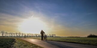 Viel Sonne in NRW in der neuen Woche Die Sonne zeigt sich diese Woche häufig in NRW.