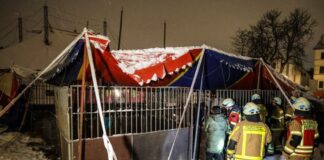 Zirkuszelt bricht unter Schneelast zusammen – Tiere gerettet Alle Tiere konnten unverletzt aus dem Zelt gerettet werden.