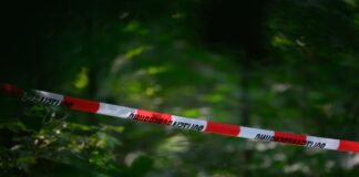 «Viele Fragezeichen» nach Jagdunfall – Schuss in Schulter Der tödliche Schuss fiel in einem unwegsamen Waldgebiet bei Warburg. (Symbolbild)